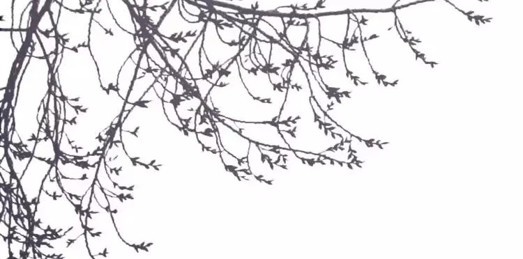 á nô chapter 2 121