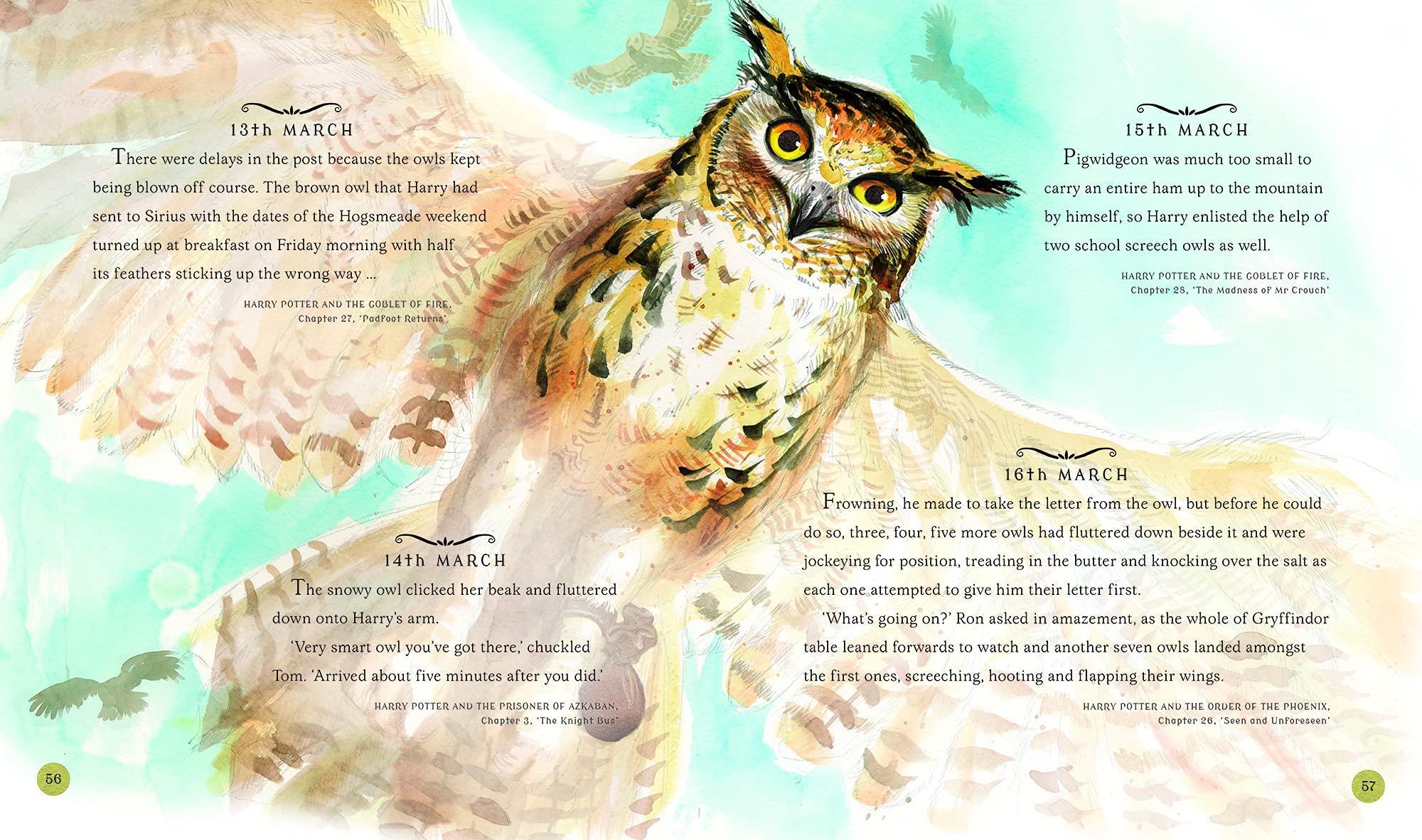 Sách ngoại văn: Harry Potter - A Magical Year: The Illustrations Of Jim Kay