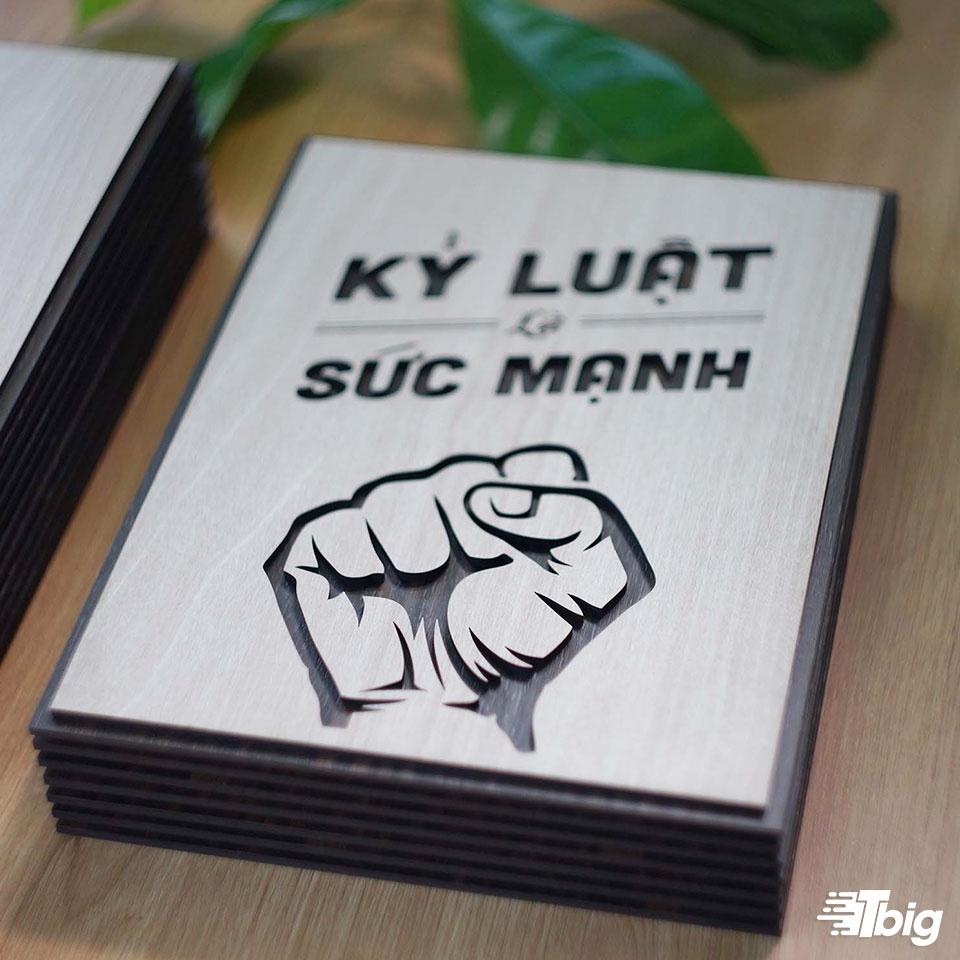 Tranh động lực TBIG128: Kỷ luật là sức mạnh 30x40cm