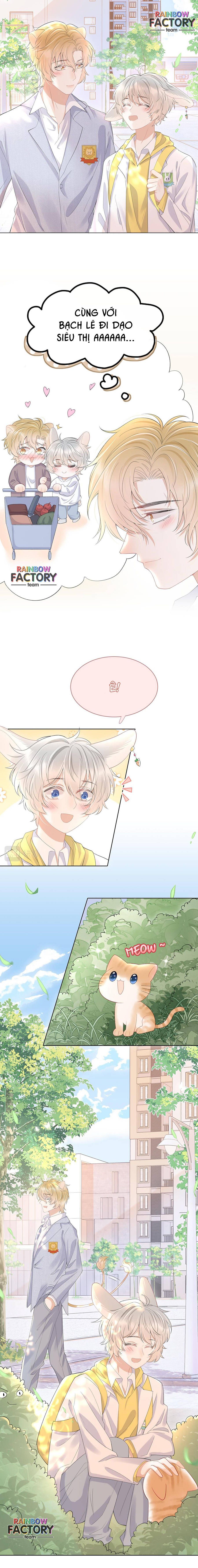 ăn một bé thỏ chapter 19 3