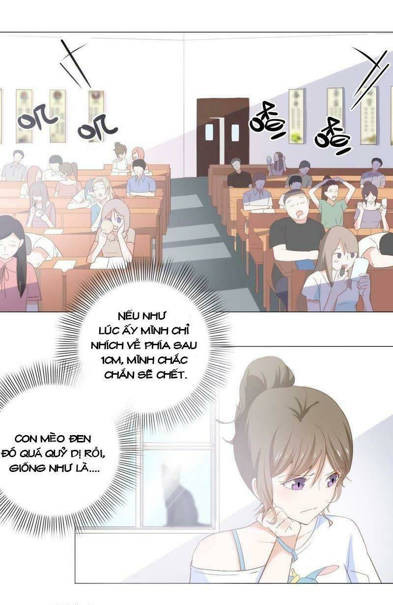 thập nhị hắc miêu chapter 3 1