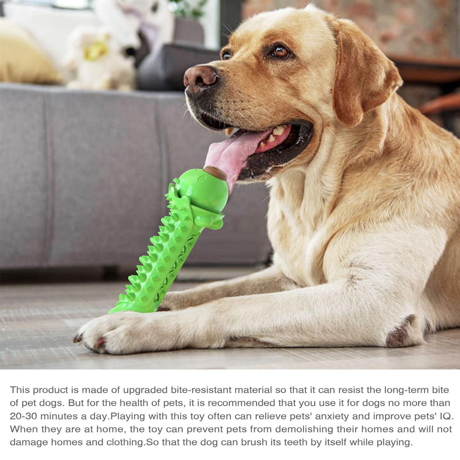 Đồ Chơi Nhai Làm Sạch Răng Cho Thú Cưng