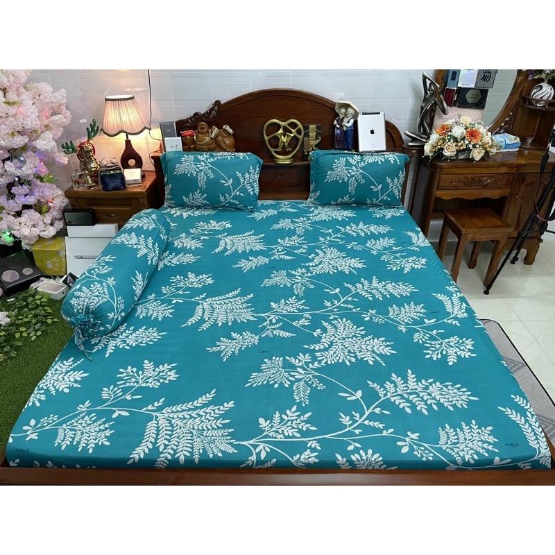 Drap thun hàn quốc