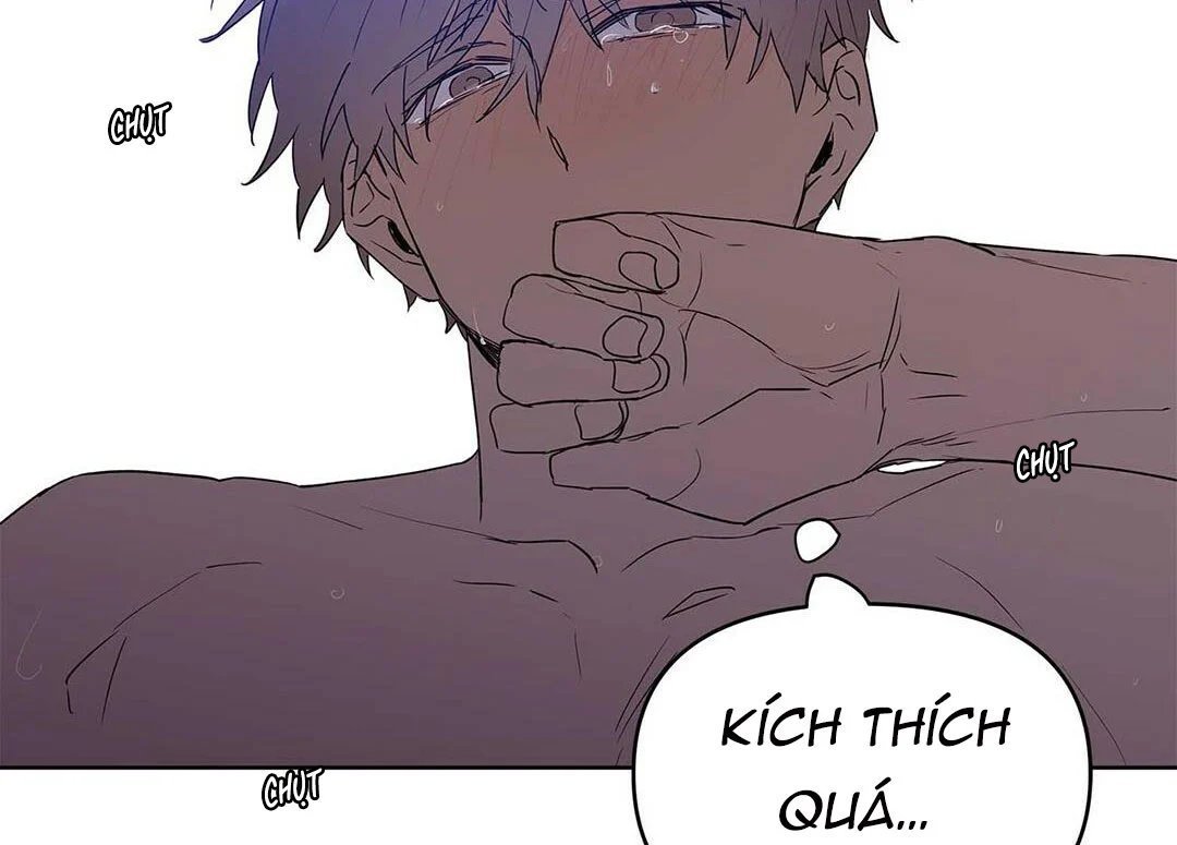 guide cấp b chapter 21 5