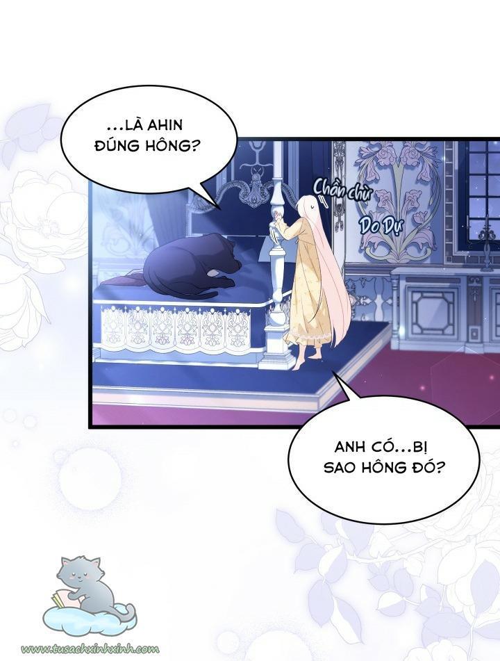 quan hệ cộng sinh giữa báo đen và thỏ trắng chapter 54 20