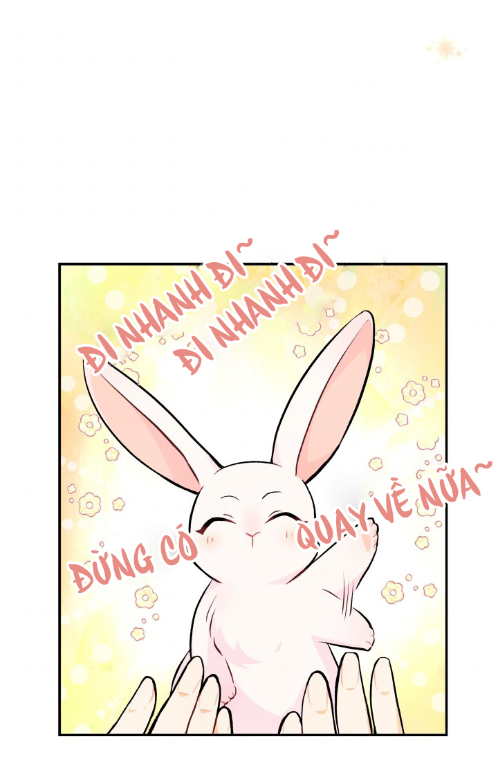 mối liên kết giữa báo đen và bé thỏ chapter 3 39