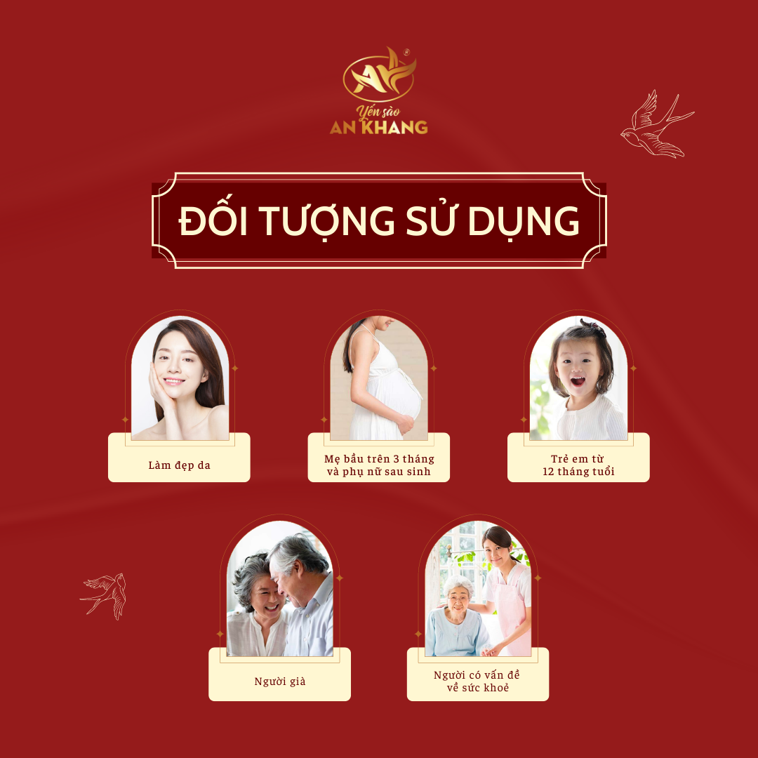 Tổ Yến Sào Tinh Chế hộp 100gr (Tổ Yến làm sạch/Tổ Yến Sạch chế biến từ Tổ Yến Thô) Yến Sào An Khang