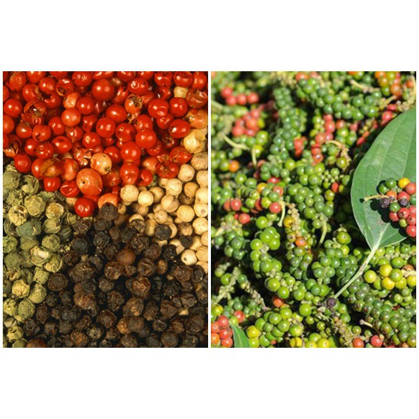 Tiêu Ngũ Sắc Vipep 45g