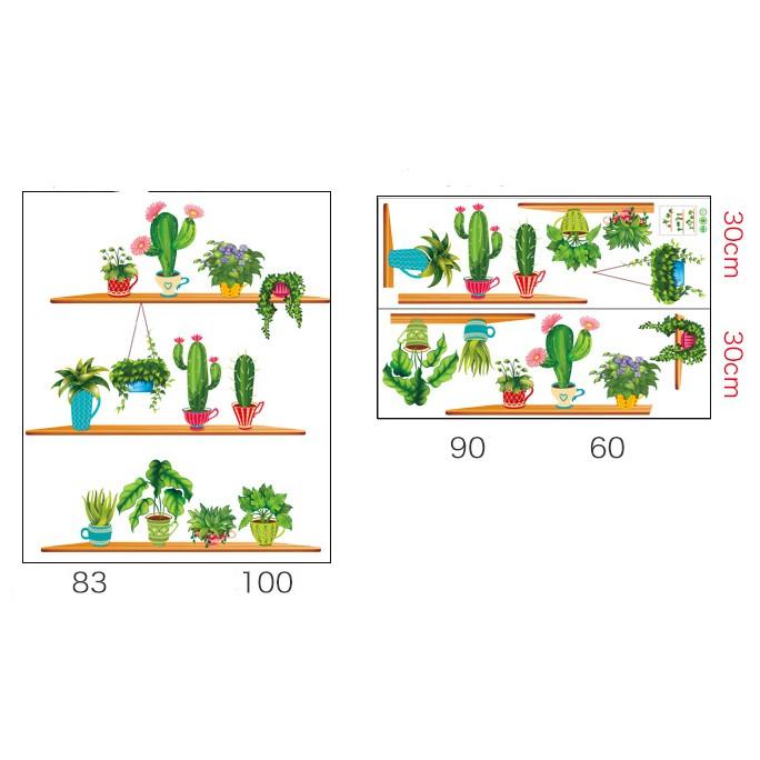 Decal trang trí tường Nhiều Chậu Xương Rồng