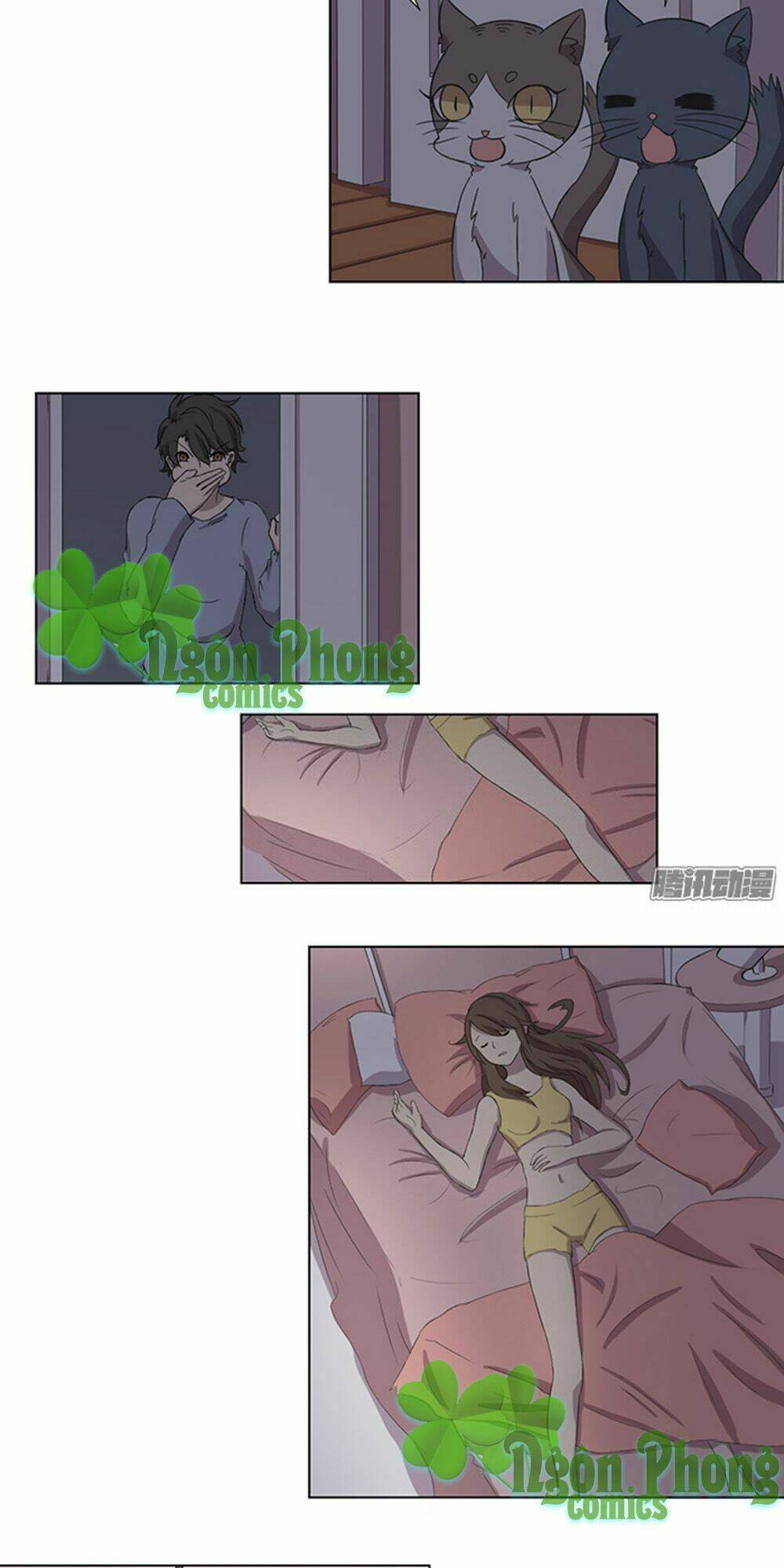 hai chú mèo totem chapter 33 15