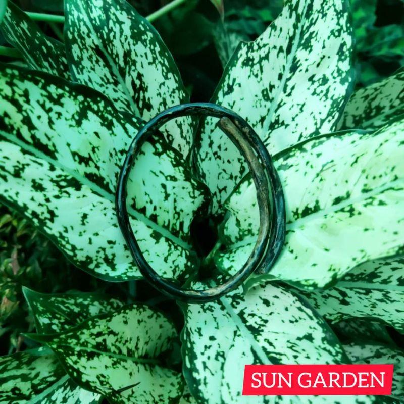 Vòng tay san hô đen cá tính unisex