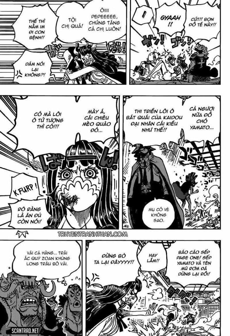 đảo hải tặc - one piece chapter 984 3