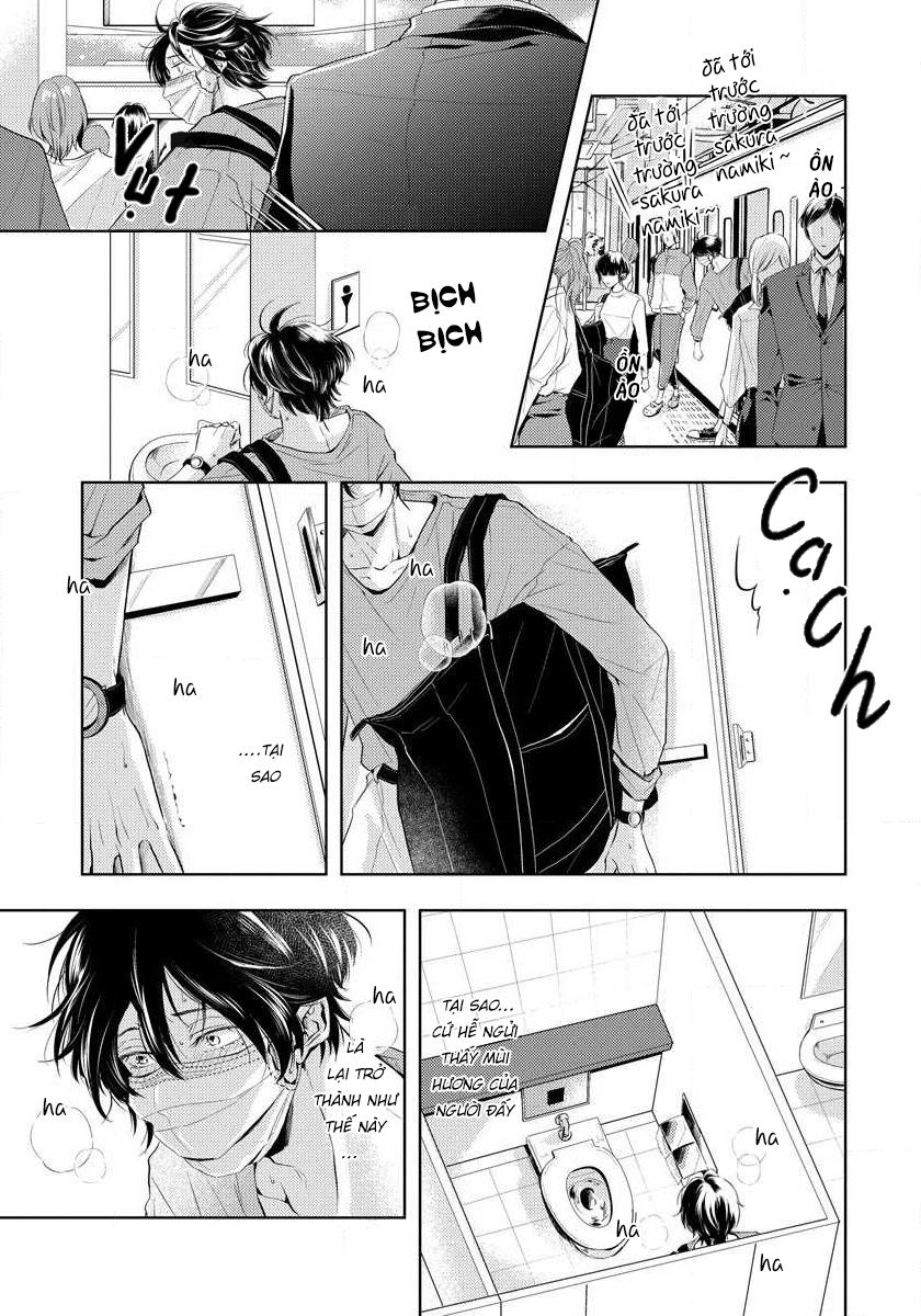 mùi hương khó cưỡng chapter 1 15