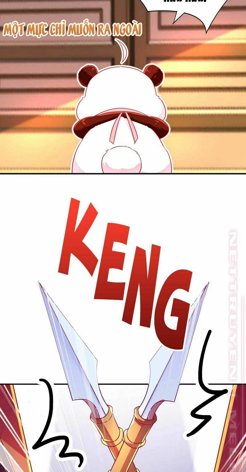 thiên thần gấu trúc muốn được ôm chapter 59 7