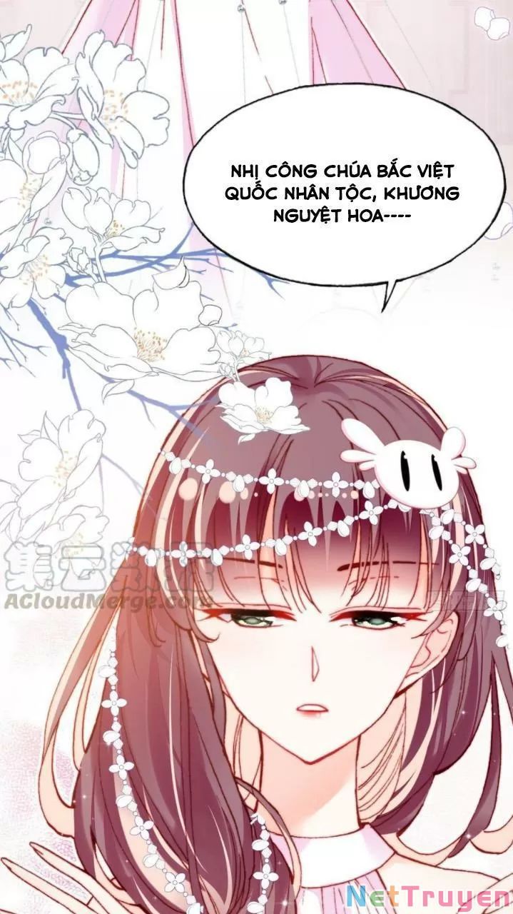 lại bị bệnh chiều chuộng quấn lấy chapter 36 30