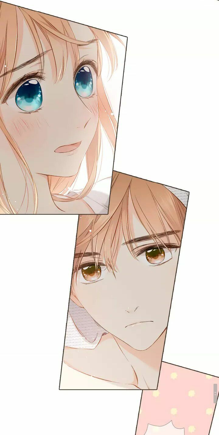 Tình yêu là màu hoa anh thảo chapter 33.2 13