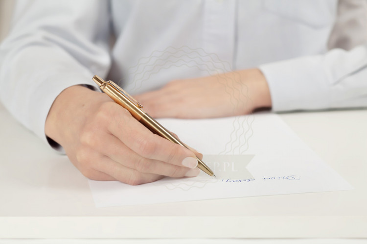 Image result for Parker Jotter Premium West End Brushed GT Ballpoint Pen