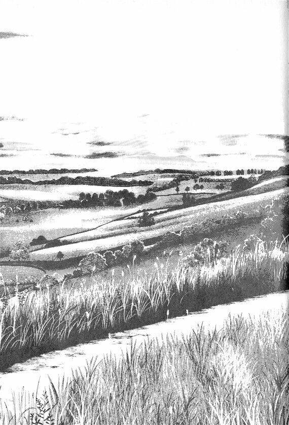 princess manhwa chapter 3 56