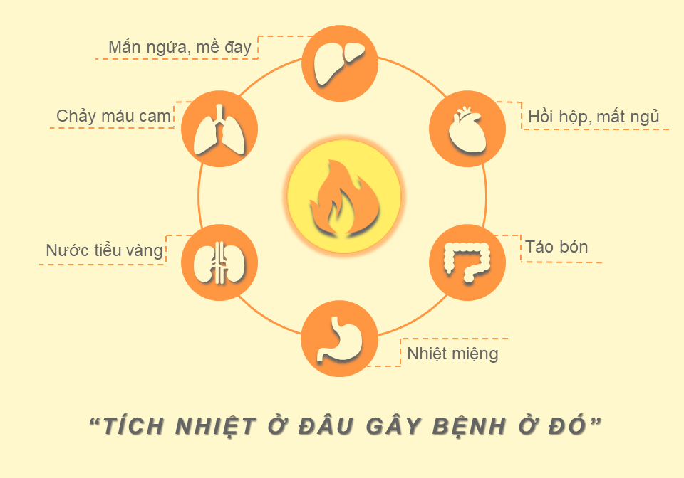 Cốm Huyền Sâm PQA Giúp Tăng Tính Bền Thành Mạch, Thanh Nhiệt Lương Huyết Dùng Cho Đối Tượng Chảy Máu Cam Hộp 12 Gói