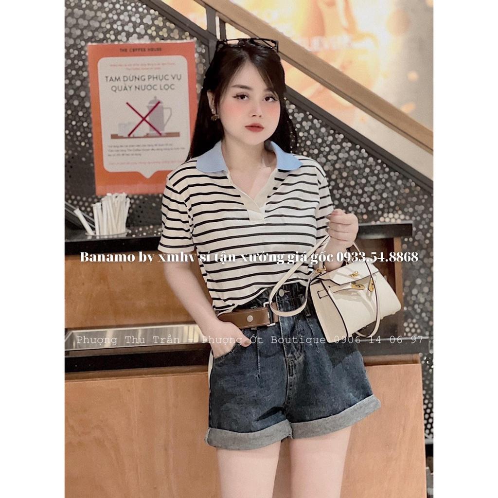 Áo polo nữ cộc tay họa tiết kẻ ngang phong cách trẻ trung thời trang Banamo fashion polo nữ kẻ sọc ngang 3930