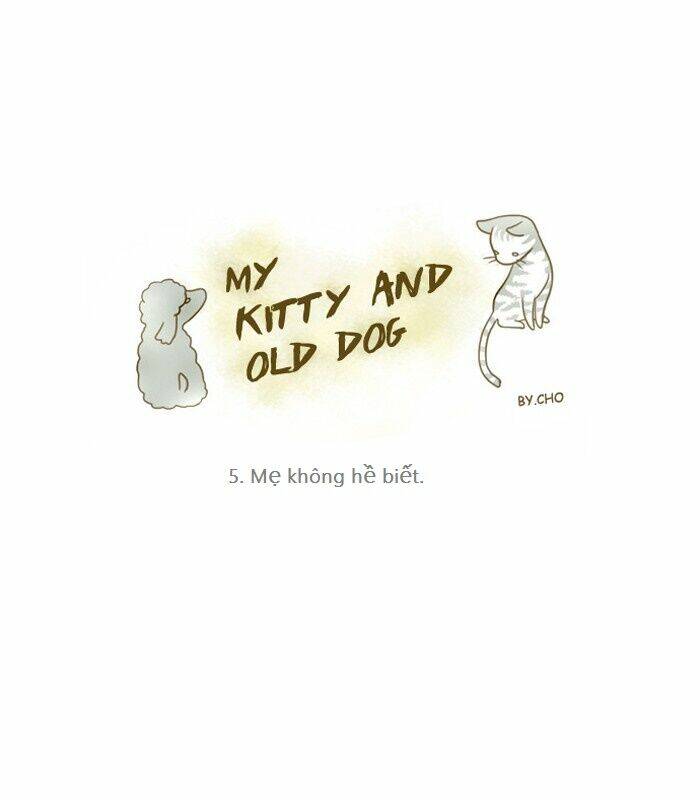 my kitty and old dog chapter 5 1