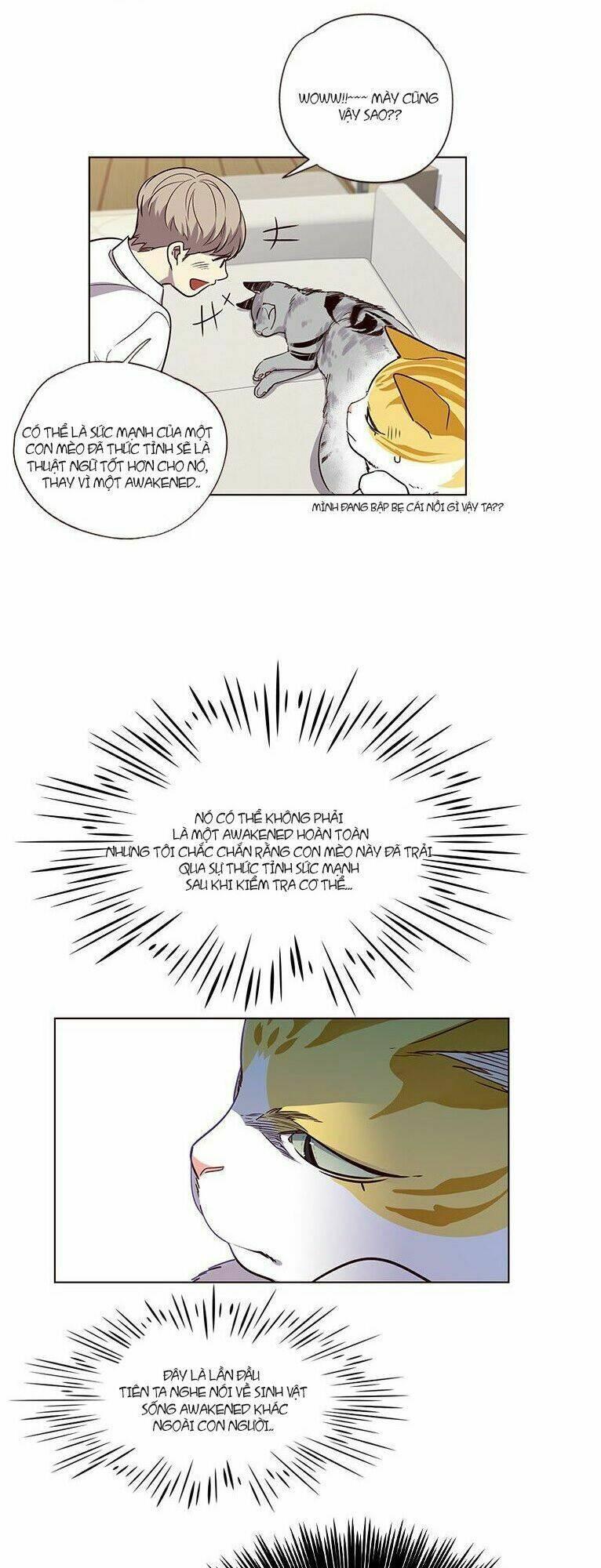 biến thân thành mèo chapter 6 5
