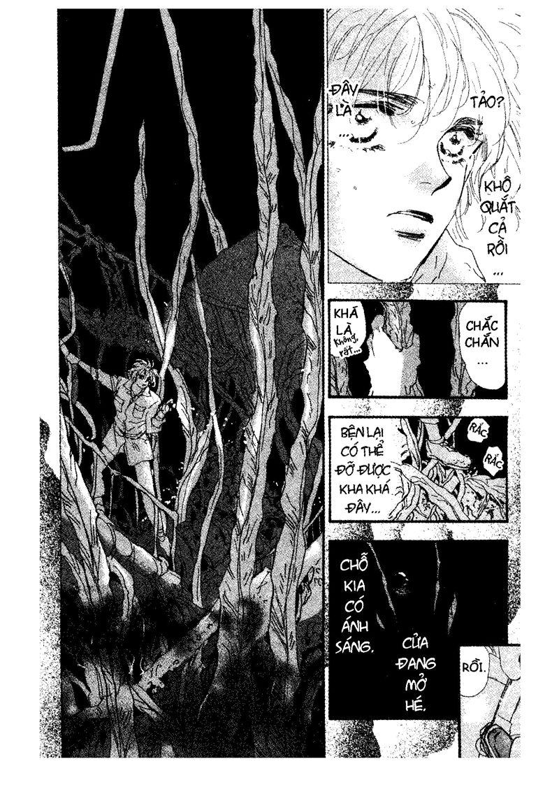 mầm sống chapter 60 29