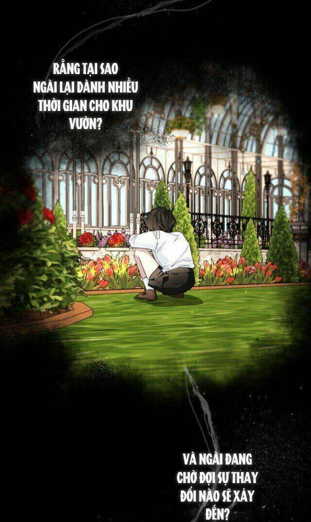 ta đã từng mong nàng biến mất chapter 28 22