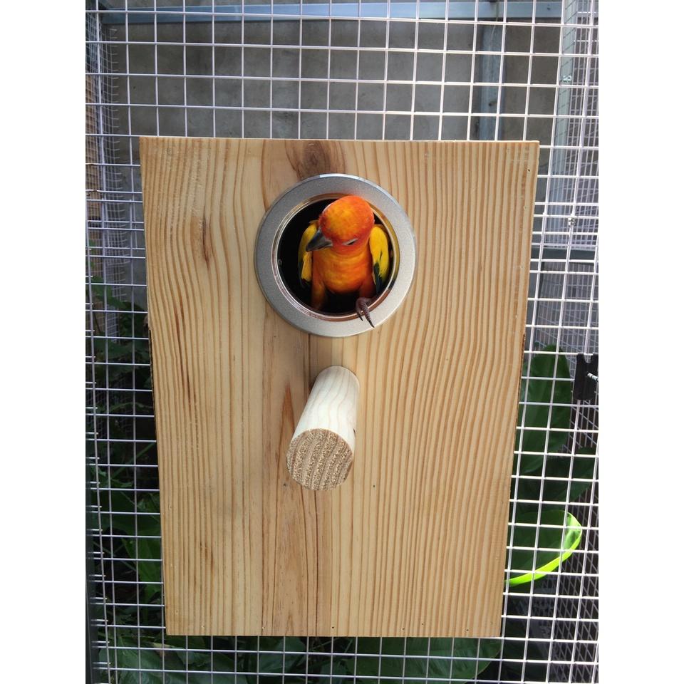 1 TỔ SUN CONURE GỖ THÔNG MỸ ,DÀY, CHẮC CHẮN , CÓ BO VIỀN NHÔM VÀ LÓT KIM LOẠI BÊN TRONG TỔ