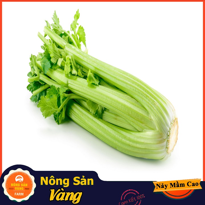 Hạt giống Rau Cần Tây ( Gói 3 Gram ) - Nông Sản Vàng