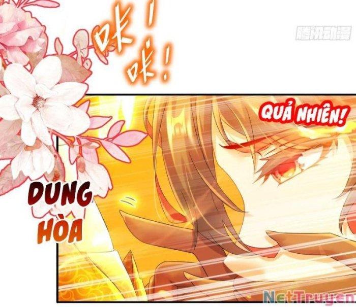 tuyệt sắc đạo lữ đều nói ngô hoàng có thể chất vô địch chapter 7 28