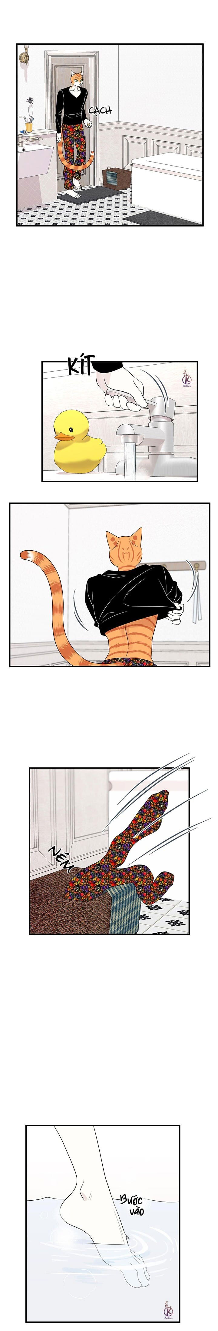 dự án xanh chapter 37 2