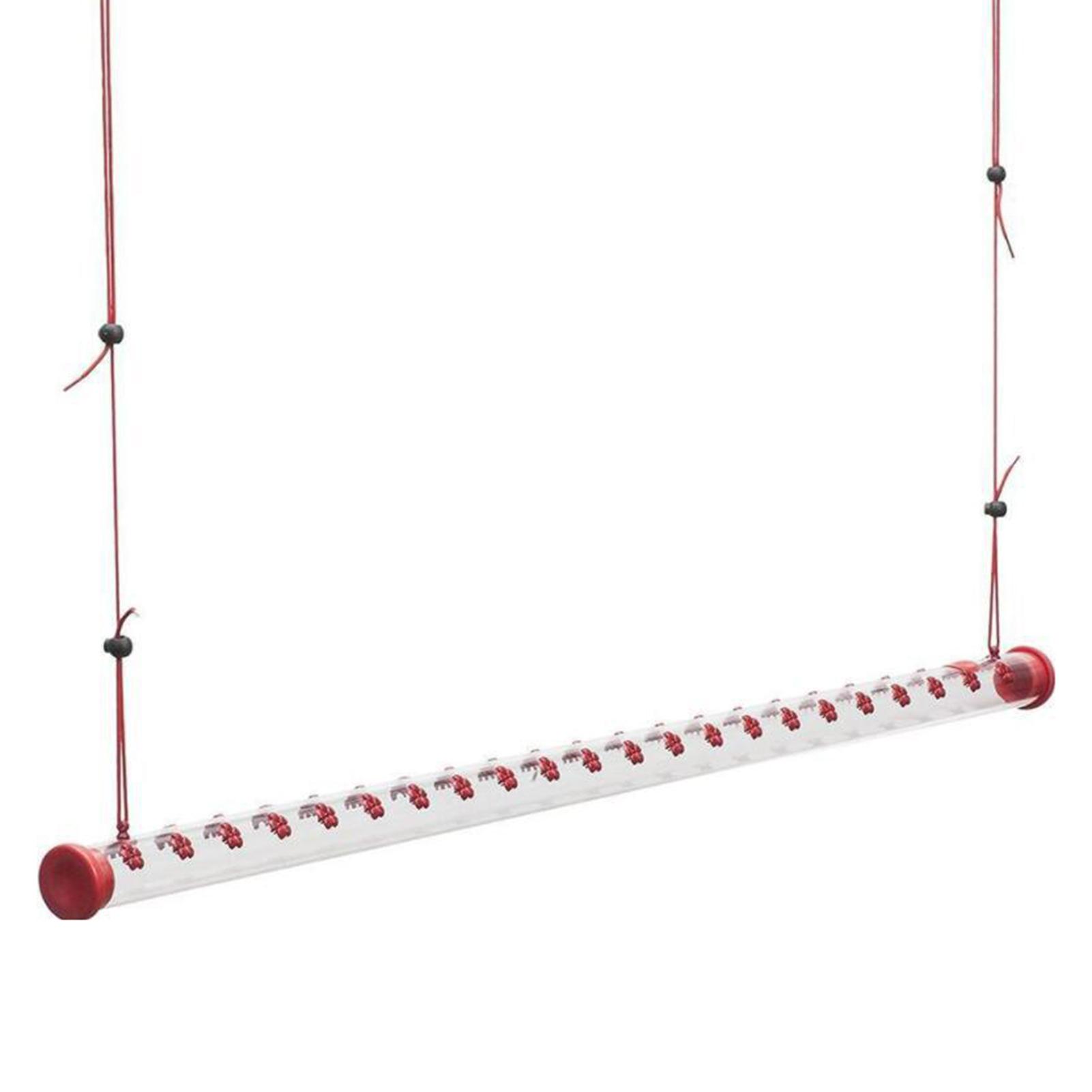 Máy cho ăn dạng ống dài cho chim