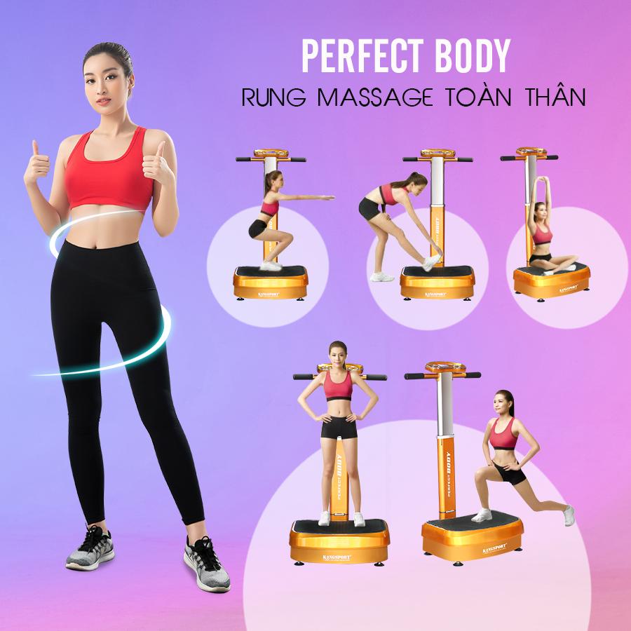 Máy Rung Toàn Thân Perfect Body