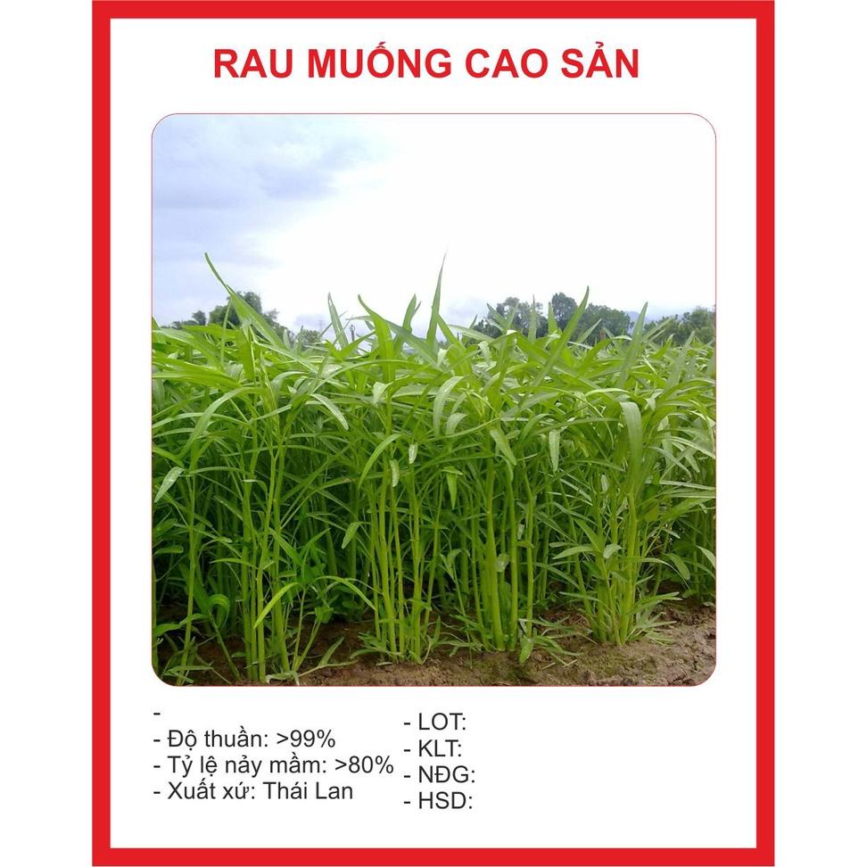 Combo 3 gói Hạt giống rau muống dể trồng f1-gói 20 gram-tặng kèm gói phân bón lót