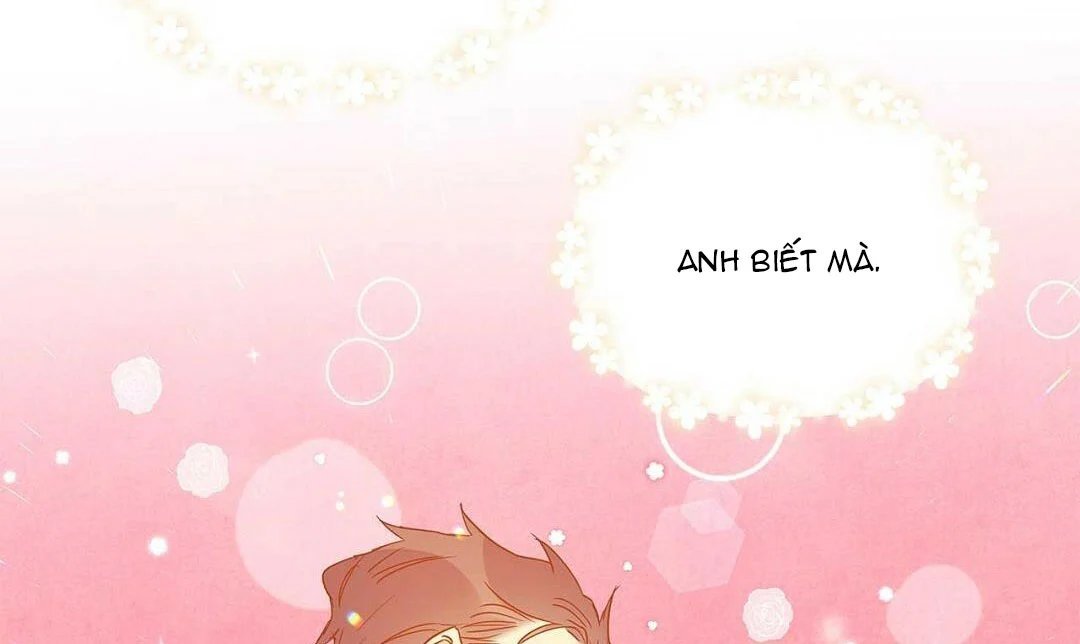 guide cấp b chapter 26 33