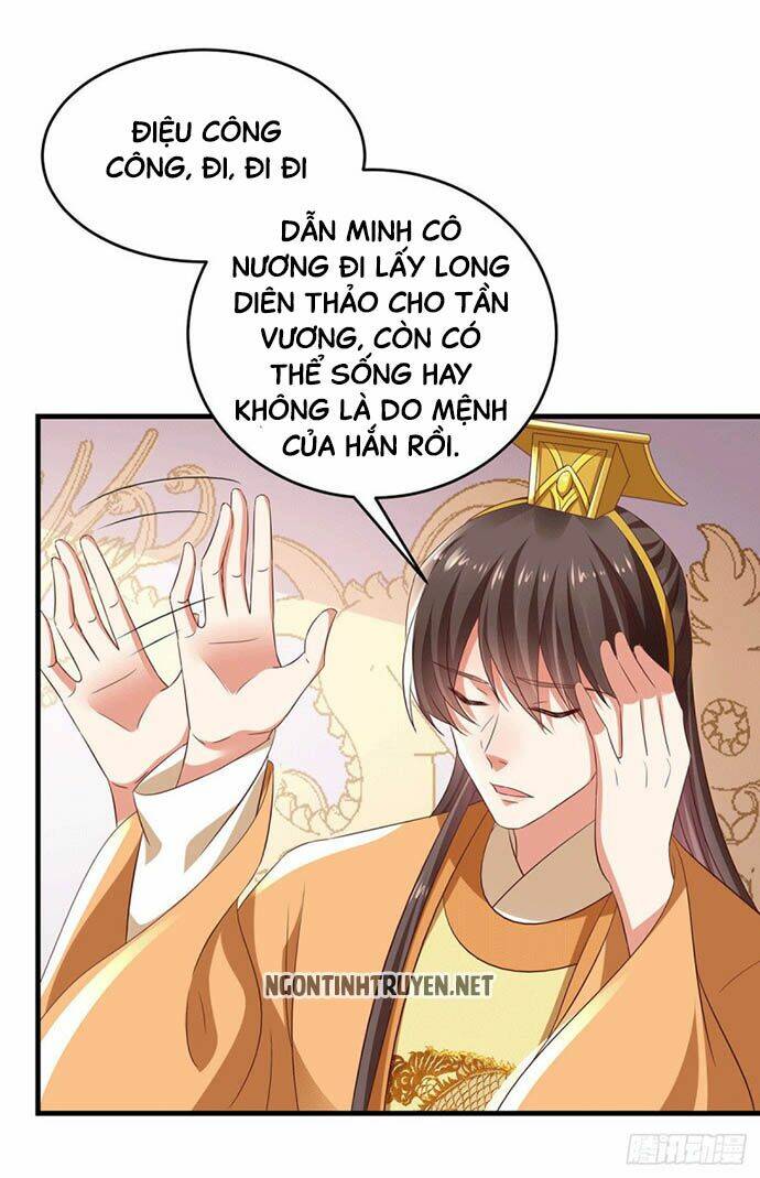 bệnh kiều phu quân ngạnh thượng cung chapter 21 28