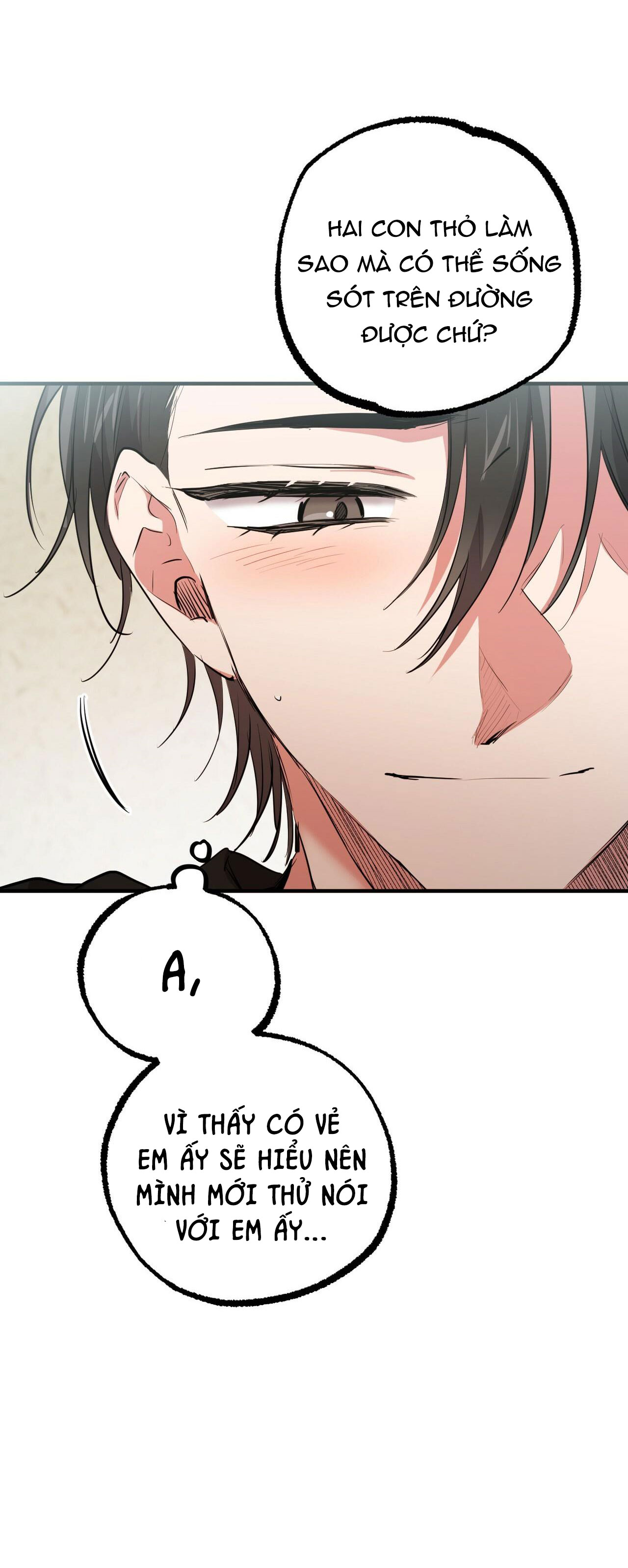 những chú thỏ của hapypy chapter 35 41