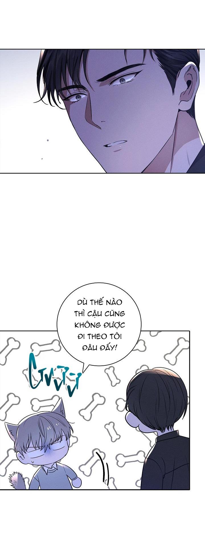 (abo) be, be chapter 4 54