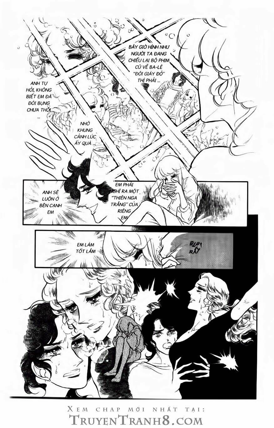 swan - vũ khúc thiên nga chapter 60 8