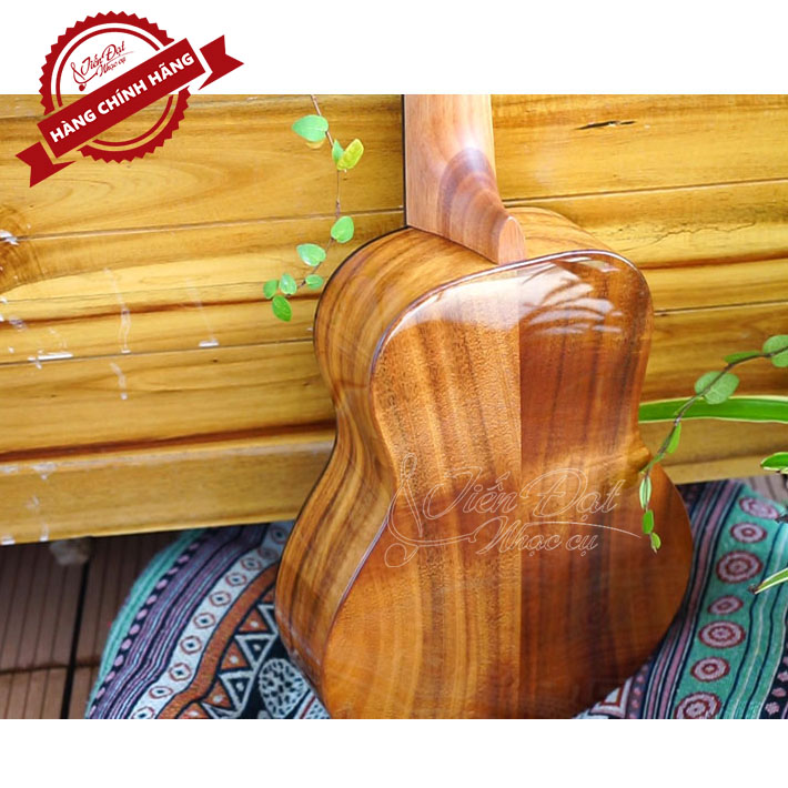 Đàn Ukulele Concert SQOE SQ UK-2420C, Gỗ KOA Nguyên Tấm Cao Cấp, Kèm Quà Tặng - Hàng Chính Hãng