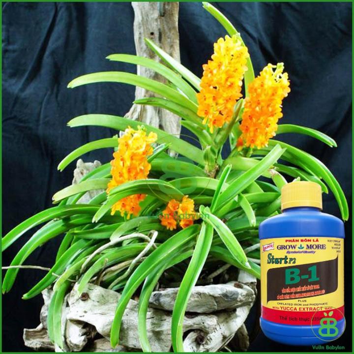 Phân Bón Lá Cao Cấp Vitamin B1 Start Của Growmore .