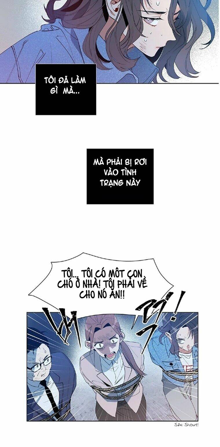 angel's use chapter 1 8