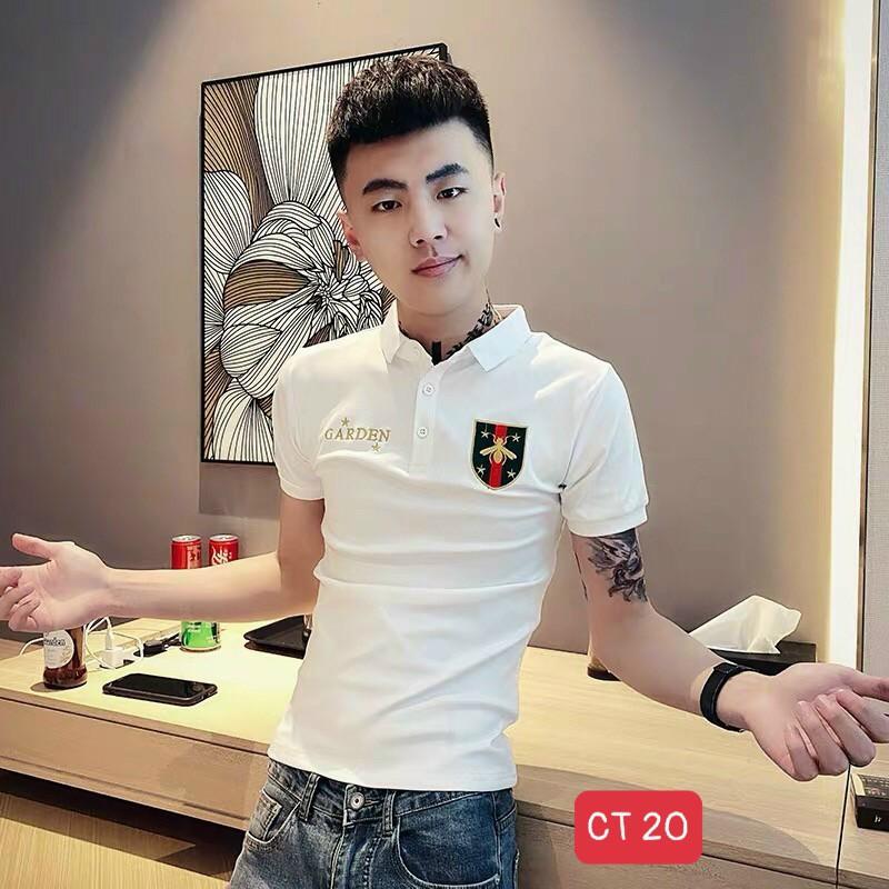 Áo Thun, Áo Phông Nam, Dáng Ôm Body, Không Nhăn, Không xù Hit Hót Thời Trang Cao Cấp TINA ms18