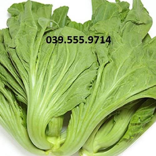 Hạt Giống Rau Cải Bẹ Dưa - 50gam - Dễ Trồng Nhanh Thu Hoạch