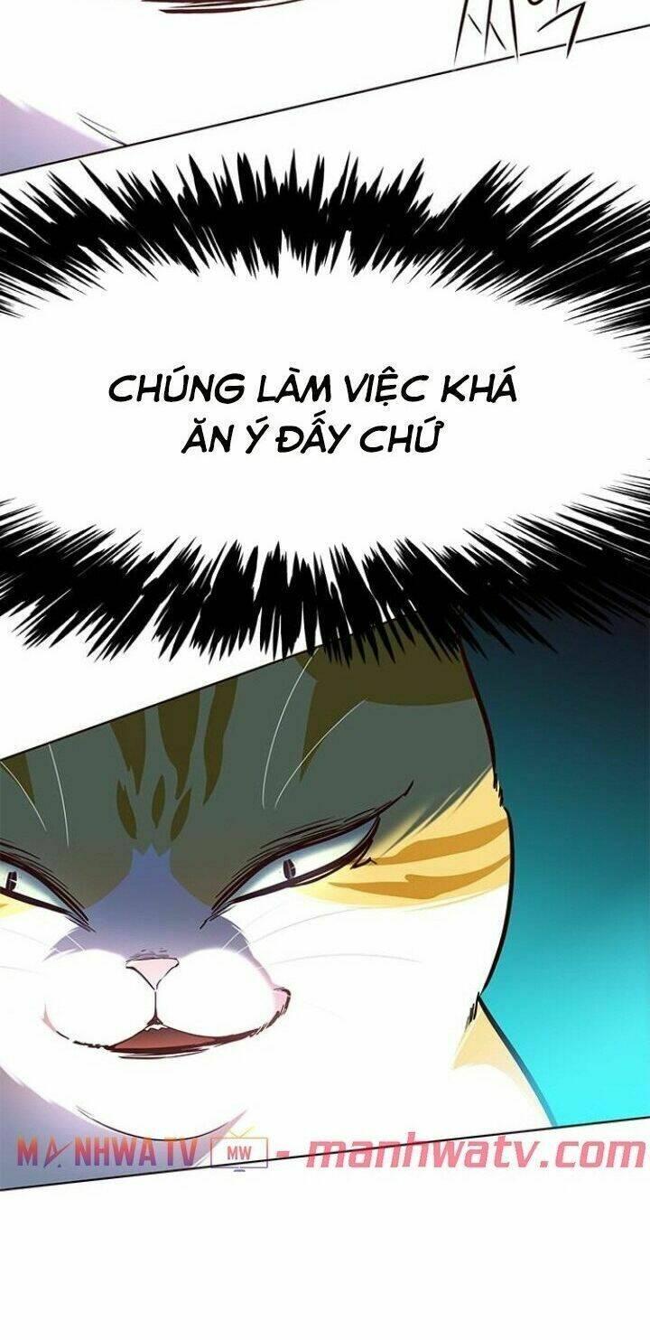 biến thân thành mèo chapter 110 80