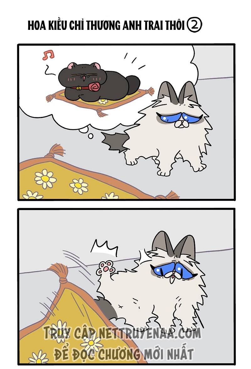 a mãn và mạch trà chapter 20 3