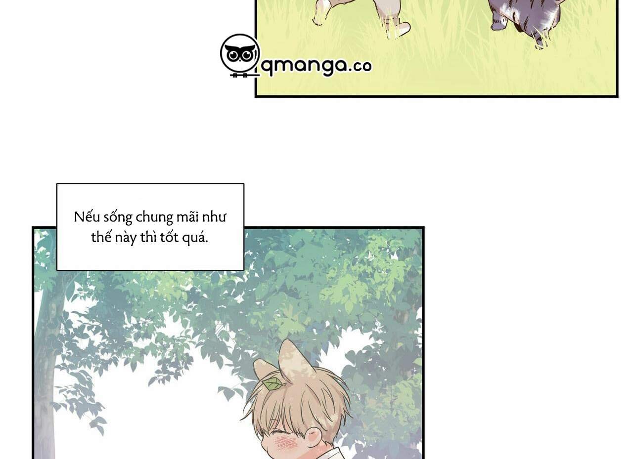 không chốn yêu đương chapter 68 60