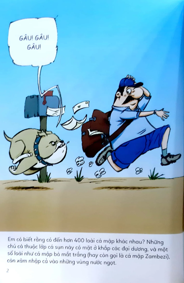 Ô Kìa! Em Có Biết: Cá Mập
