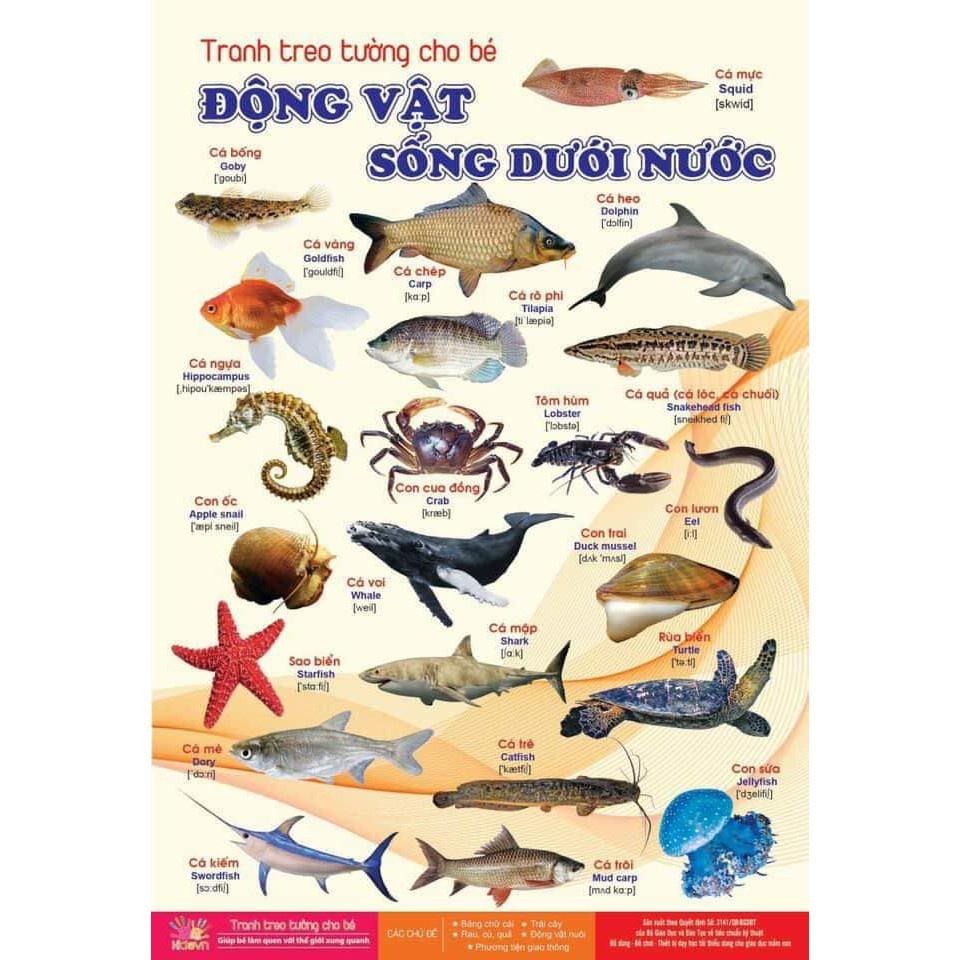 BỘ TRANH TREO TƯỜNG VỀ THẾ GIỚI XUNG QUANH 12 CHỦ ĐỀ CHO BÉ